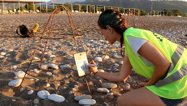 Çıralı’da son 30 yılın rekoru bekleniyor